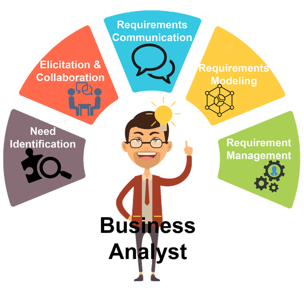 what does a business planning analyst do